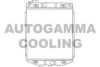 AUTOGAMMA 100238 Radiator, engine cooling